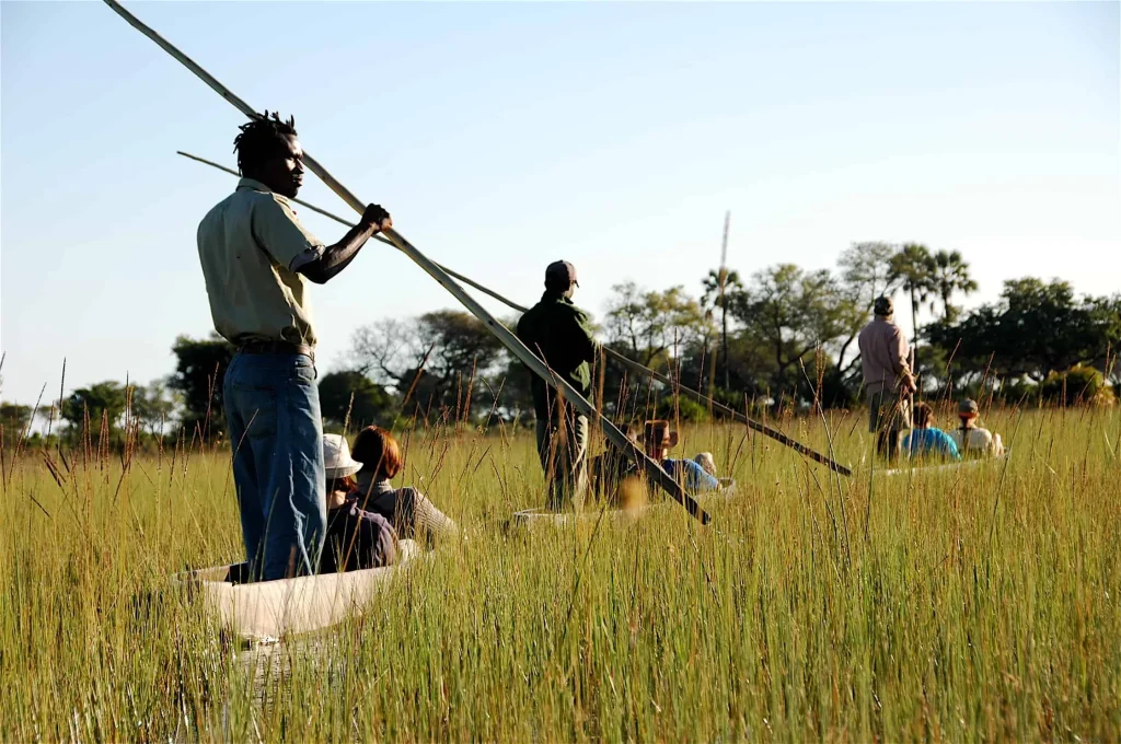 Overland - Botswana Wildside