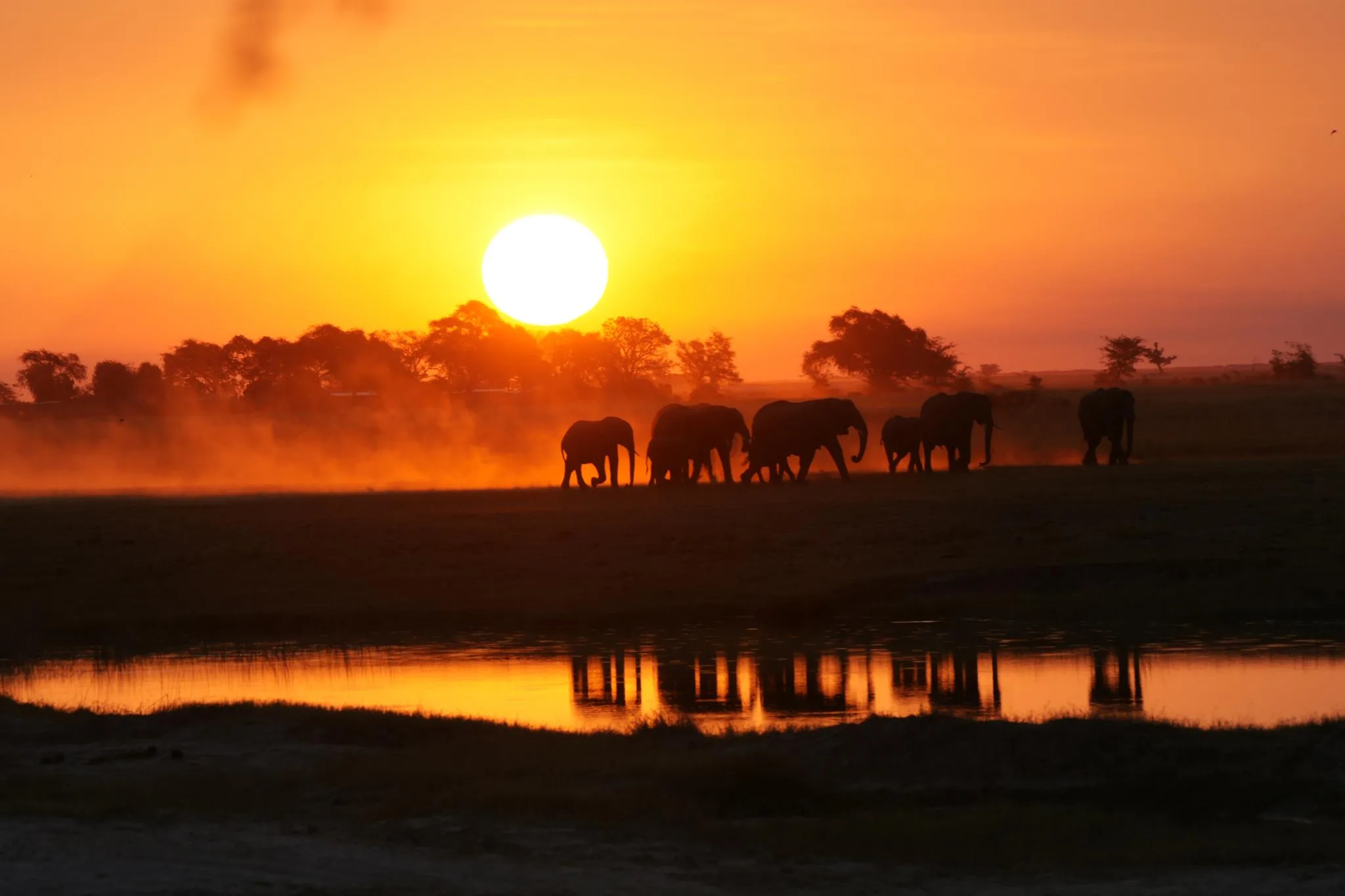 Botswana Discovery - Lodge Safari