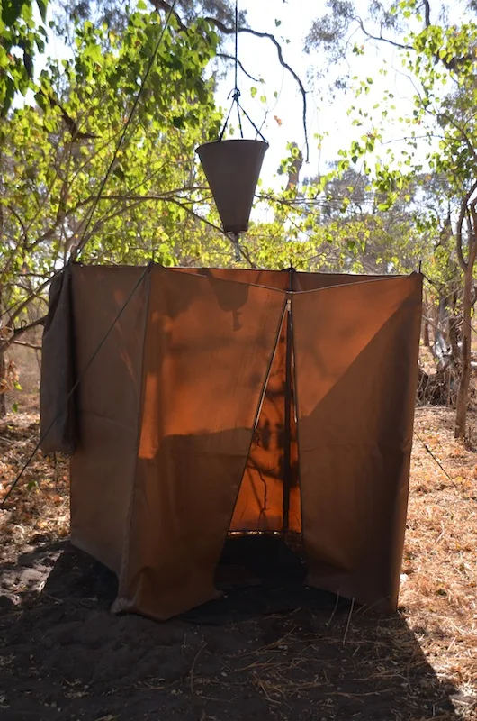 Botswana - Buffalo Safari - Camping Safari