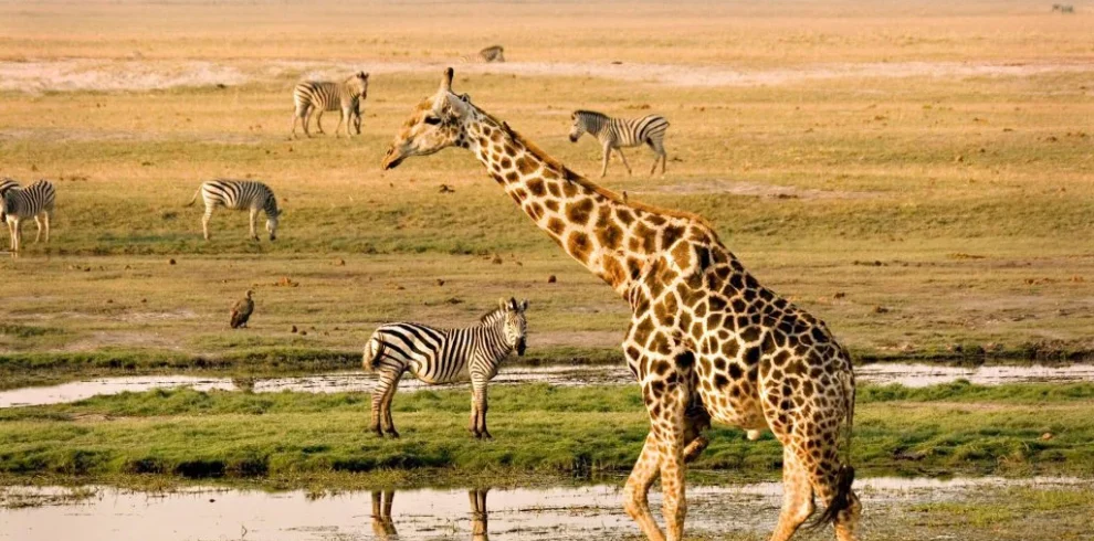 Victoria Falls, Botswana & Seychelles