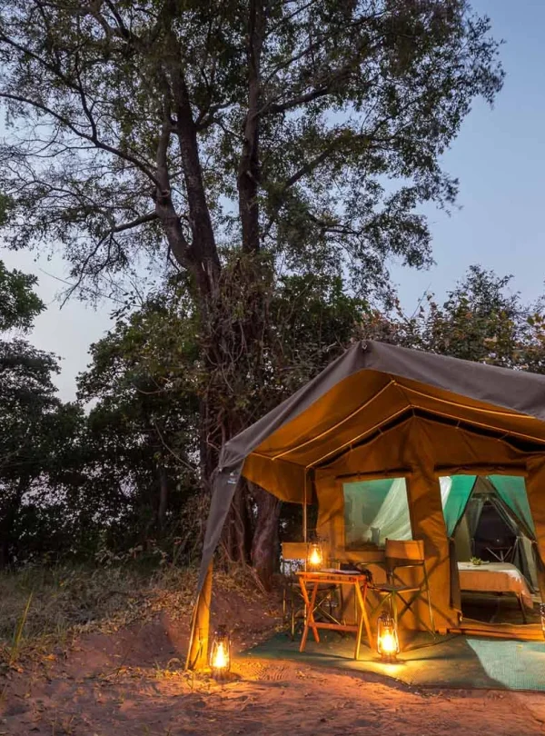 Botswana Glamping Mobile Safari