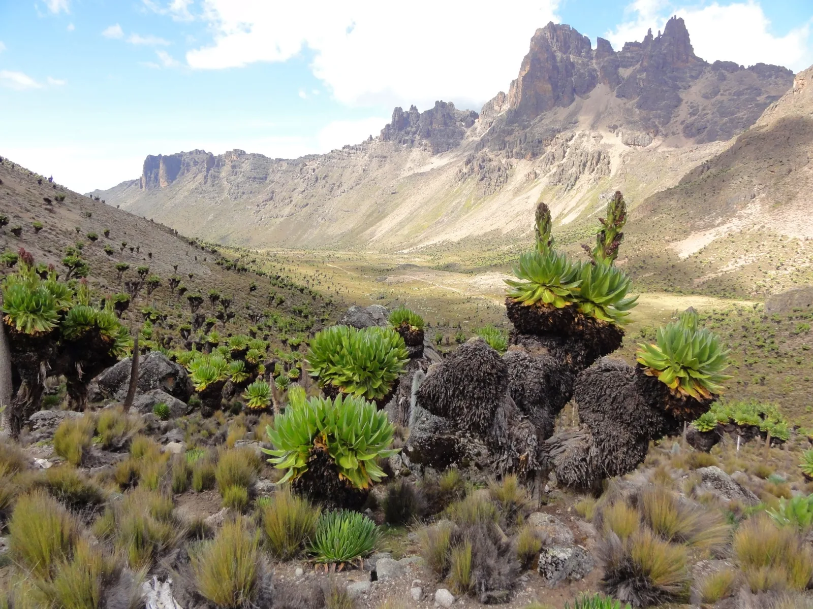 Trekking sul monte Kenya