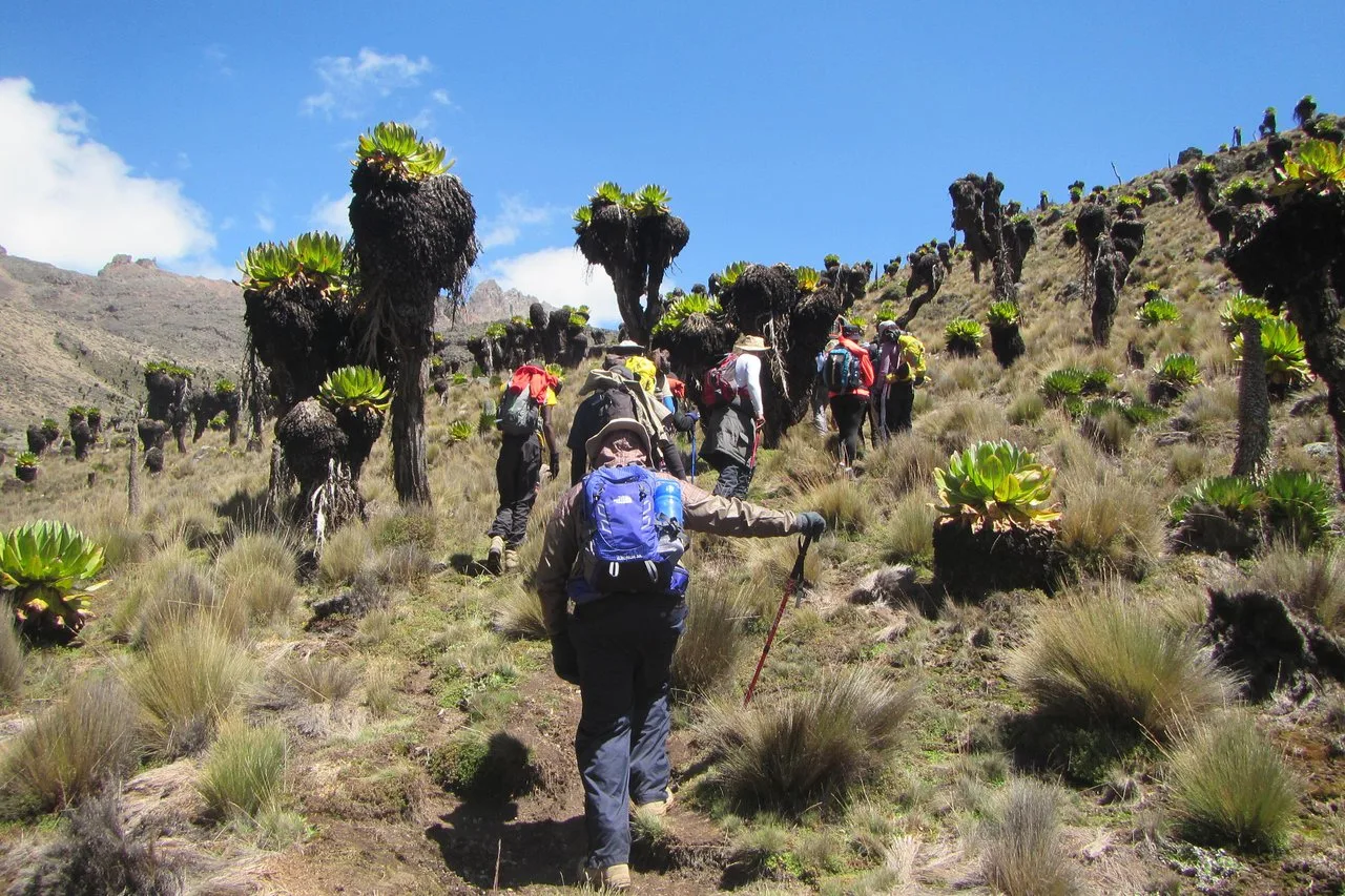 Trekking sul monte Kenya