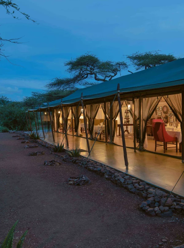 Ole Serai Luxury Camp Moru Kopjes
