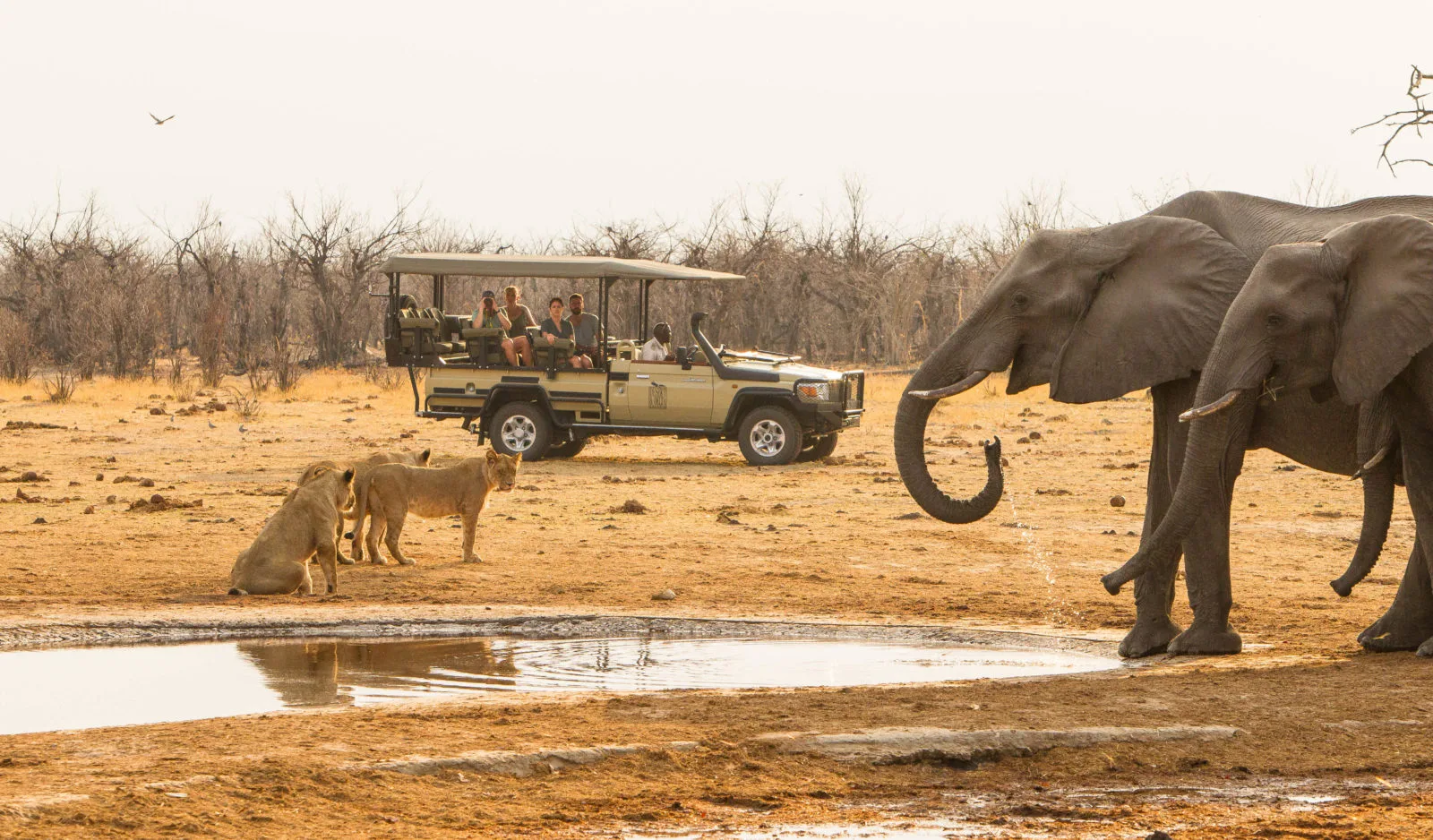 Botswana - Desert & Delta Classic - Lodge safari