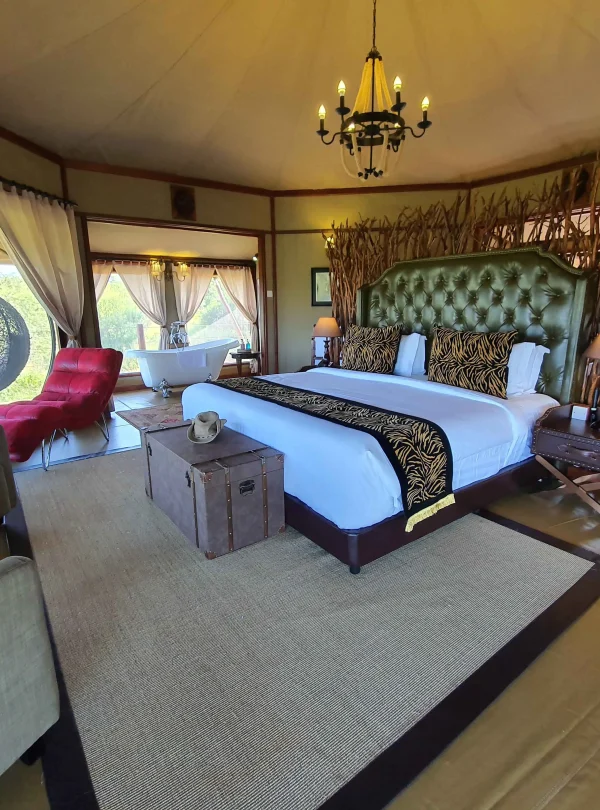 Tarangire Kuru Treetops Lodge