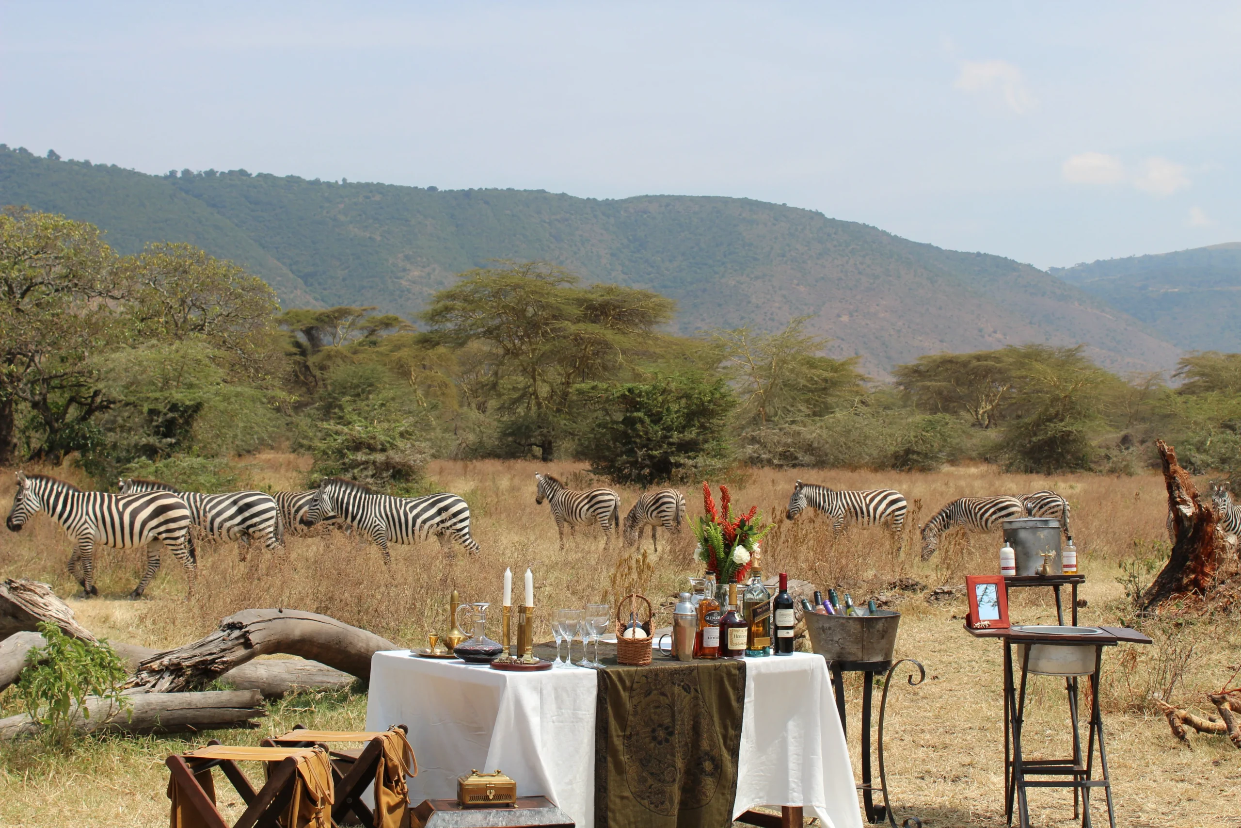 Tanzania deluxe - Elewana collection