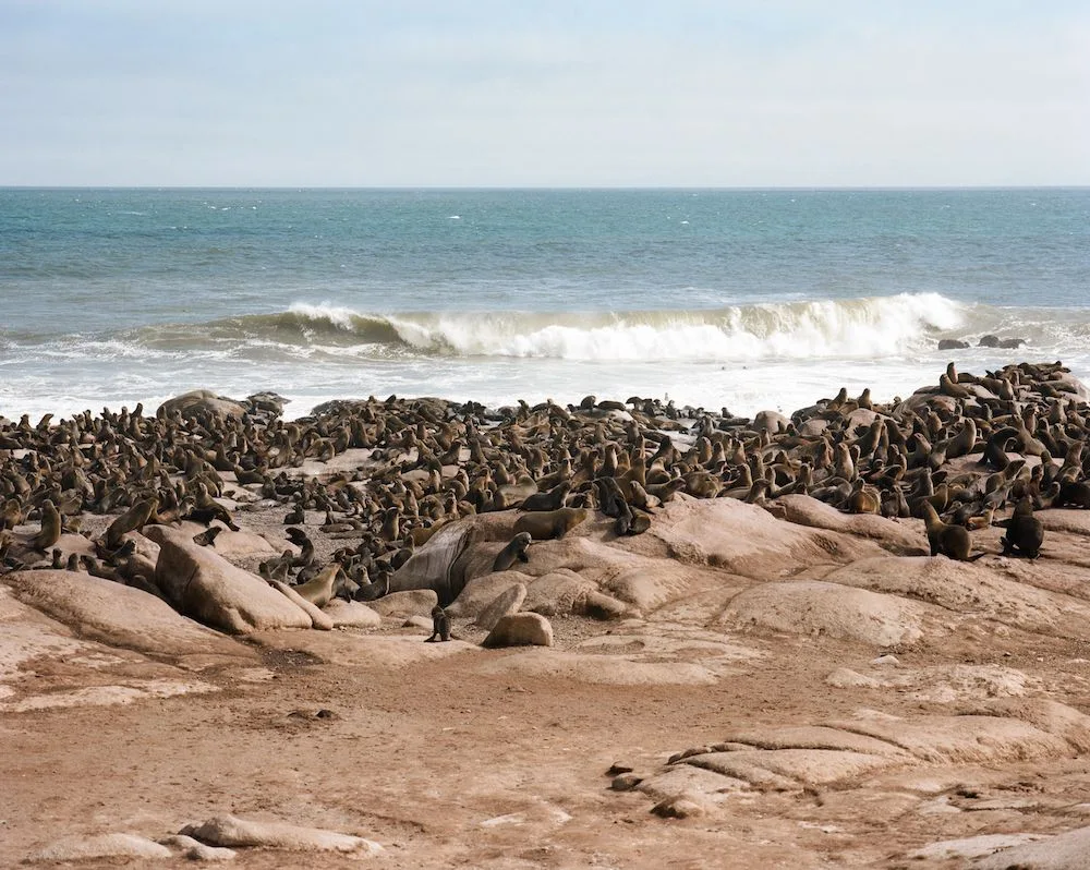 Namibia - Shipwreck Lodge
