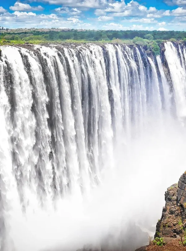 Botswana e Seychelles - Safari Focus e mare