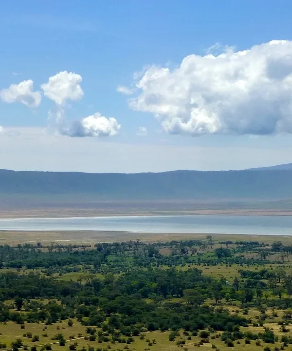 Ngorongoro Oldeani Mountain Lodge
