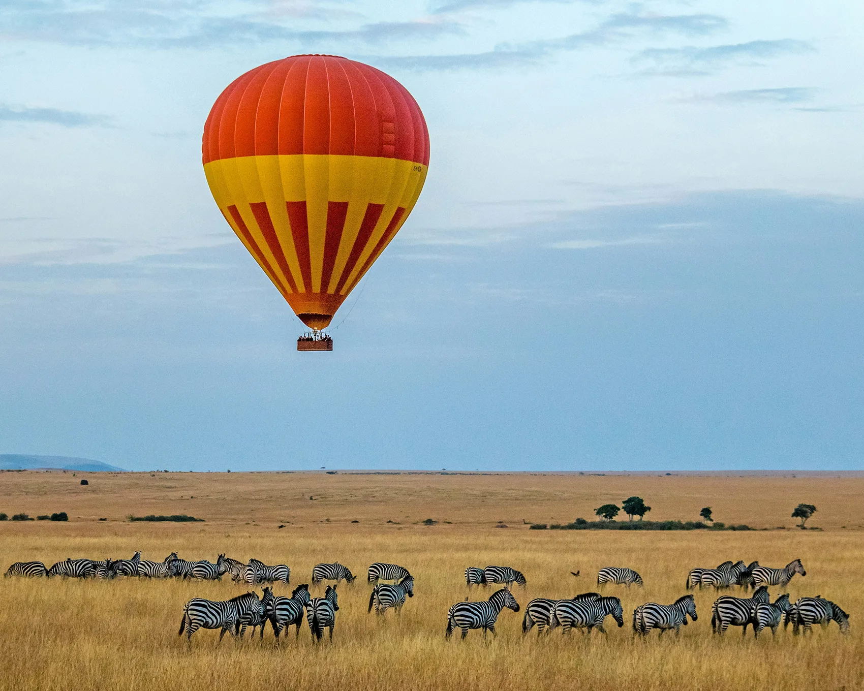 Kenya - Safari Masai Mara