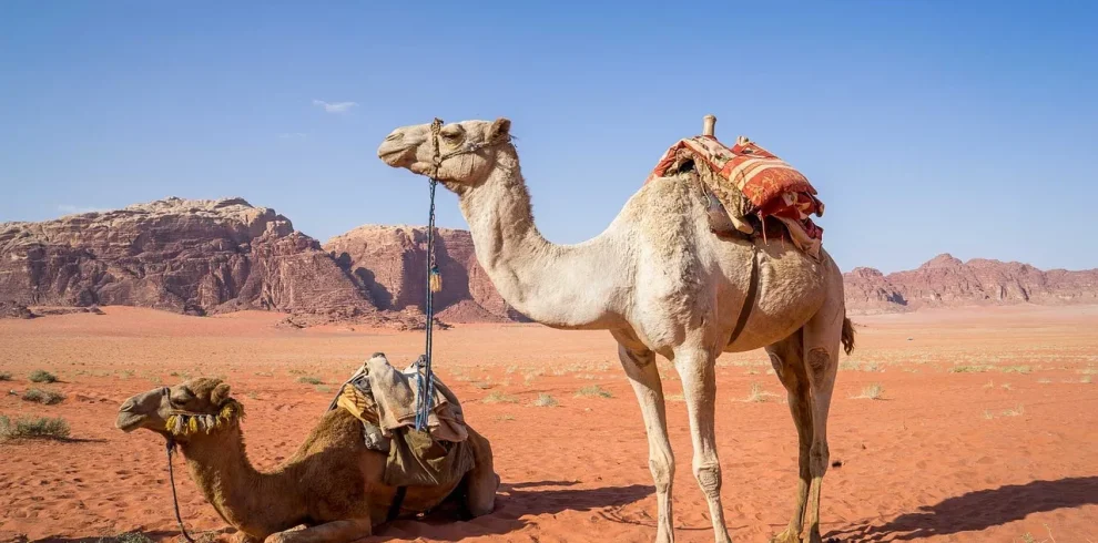 Giordania Classica & Wadi Rum Experience