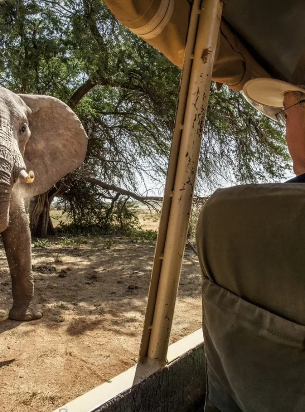 Kenya – Sasaab Luxury Tended Camp