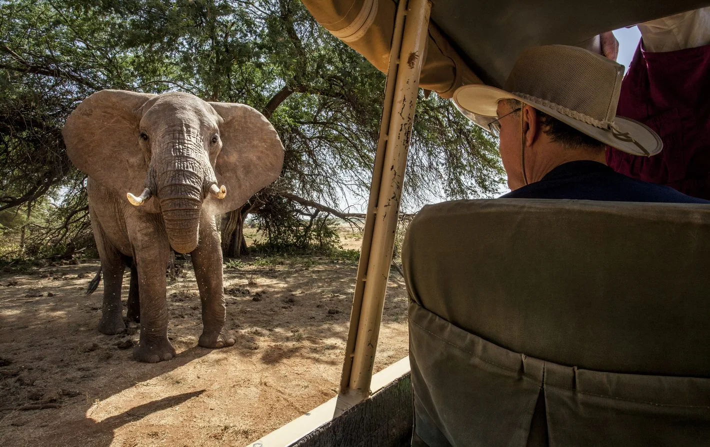 Kenya – Sasaab Luxury Tended Camp