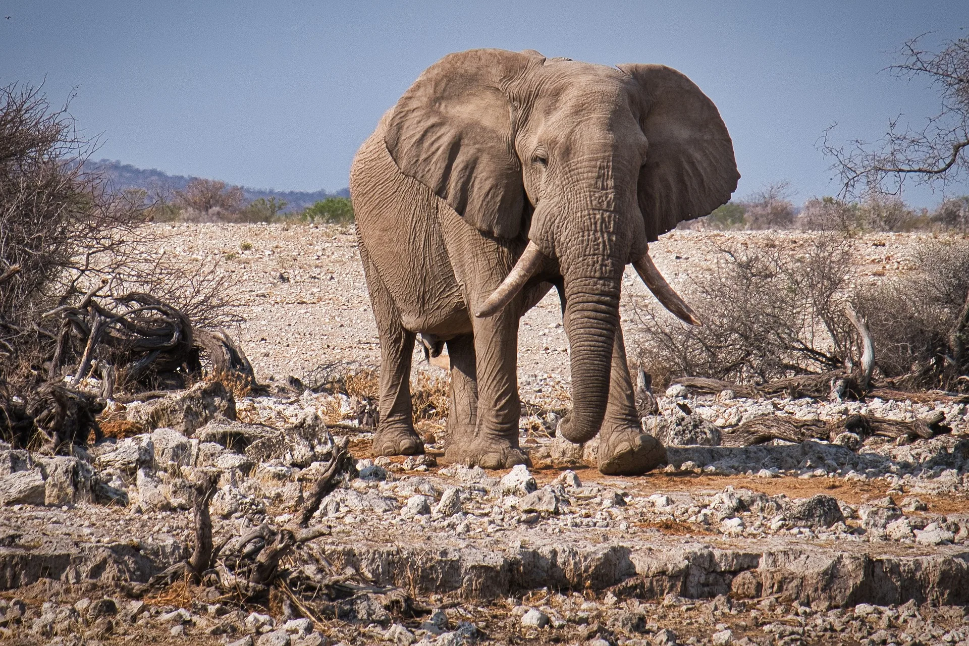 Overland - Namibia Botswana Desert & Delta
