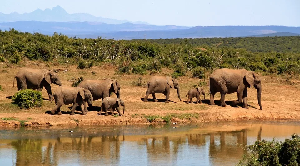 Desert Rivers & Wildlife Adventure