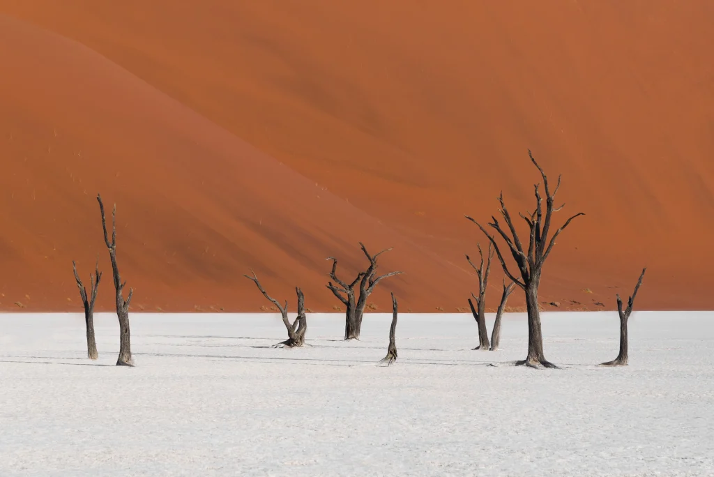 Namibia Adventure
