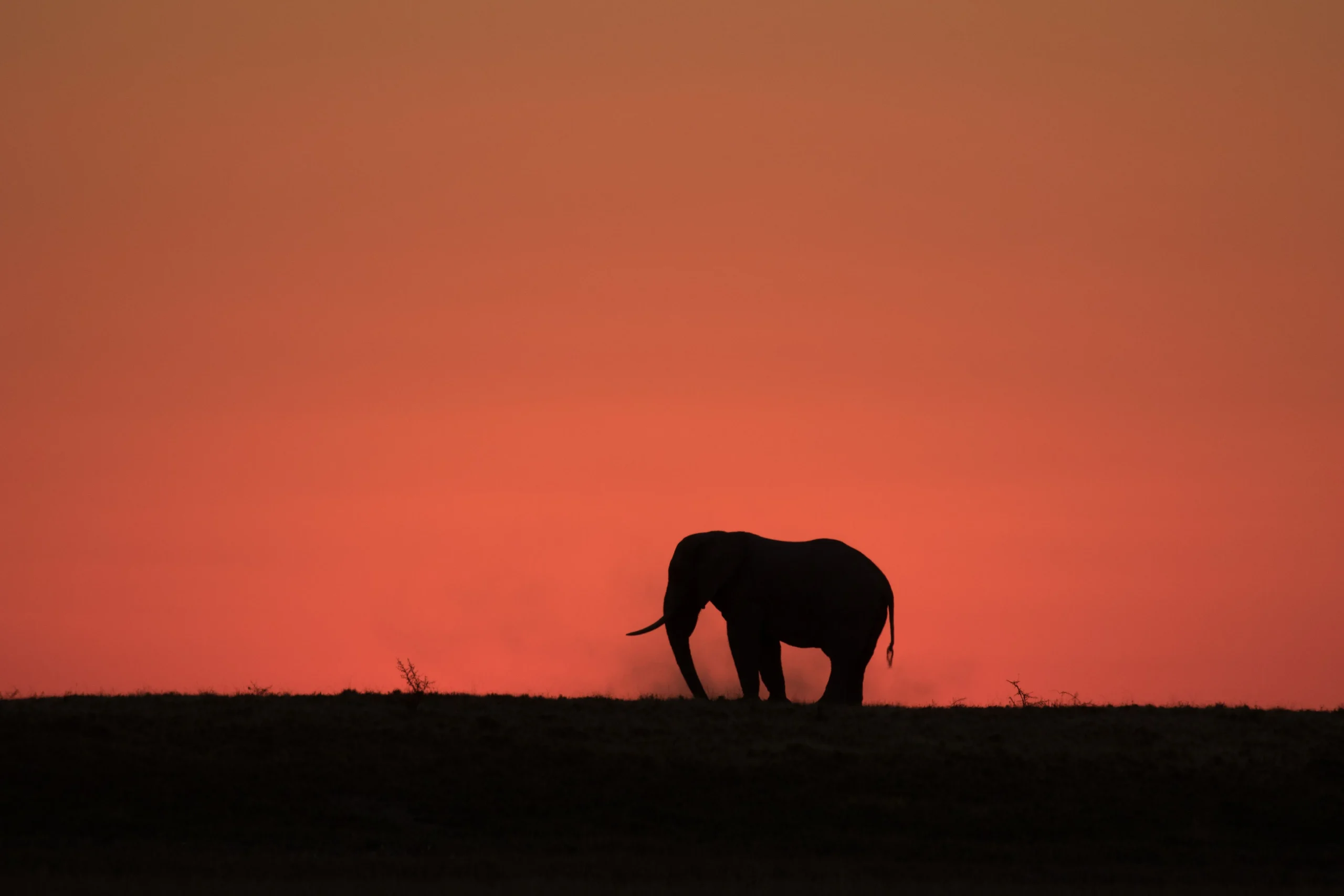 Botswana – San Camp