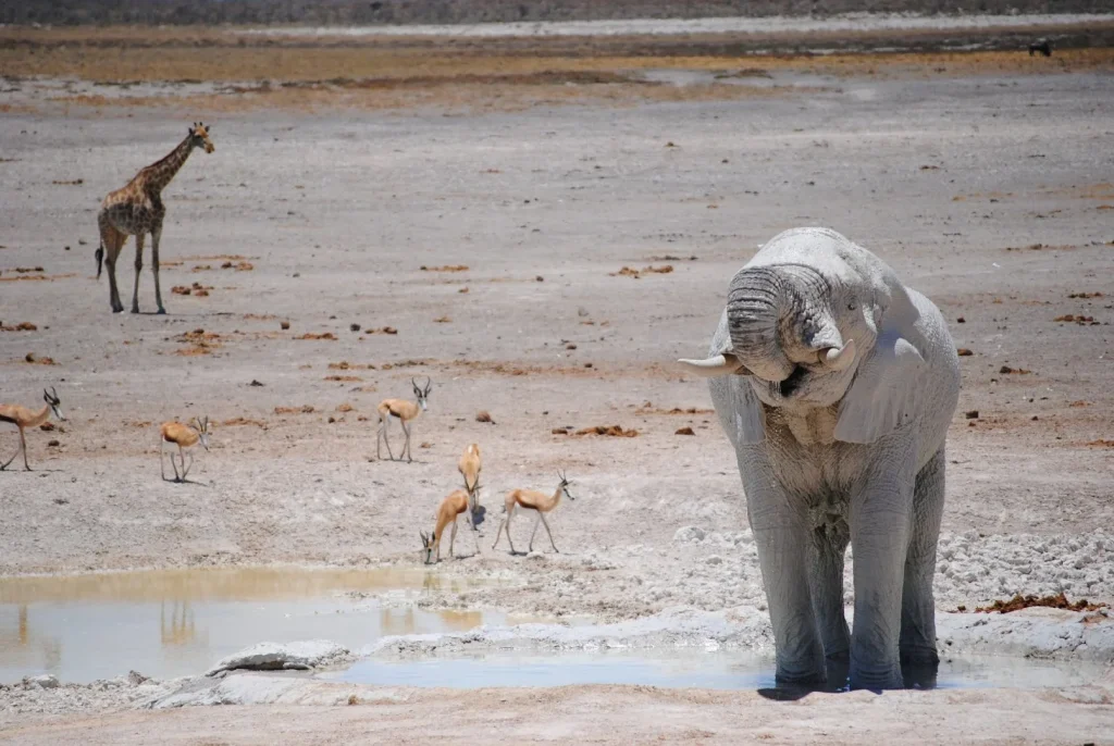 Namibia - Himba e deserti