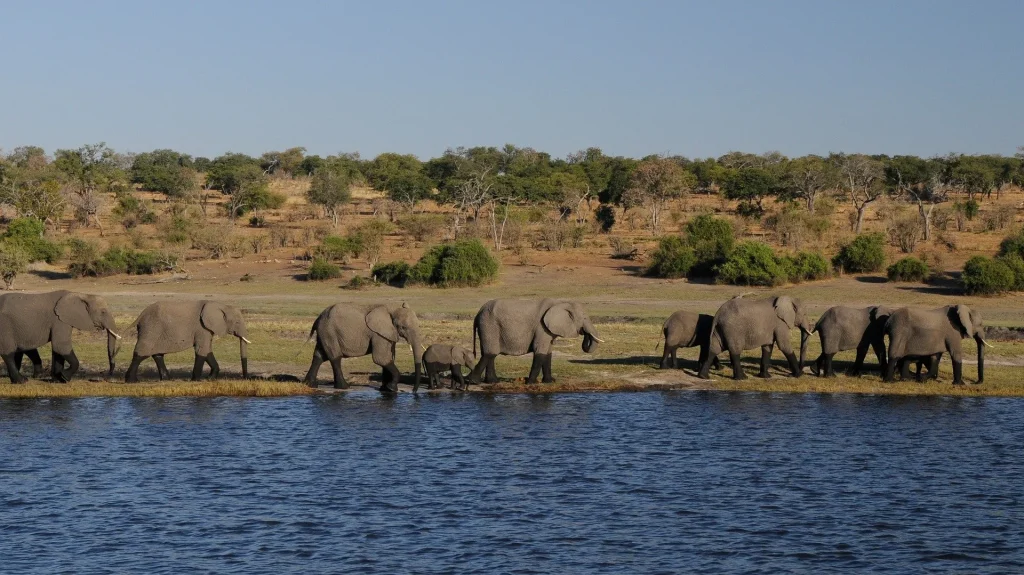 Tanzania Exploration