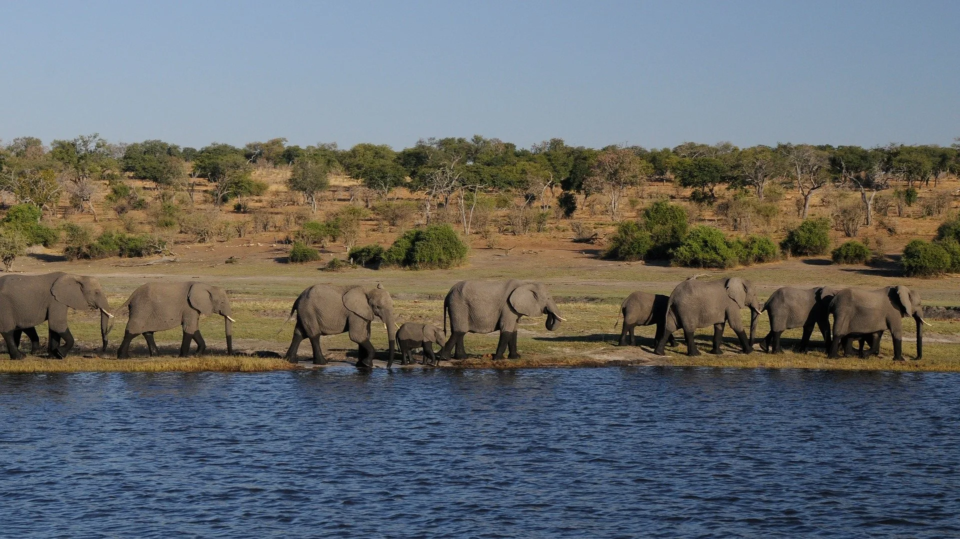 Tanzania Exploration
