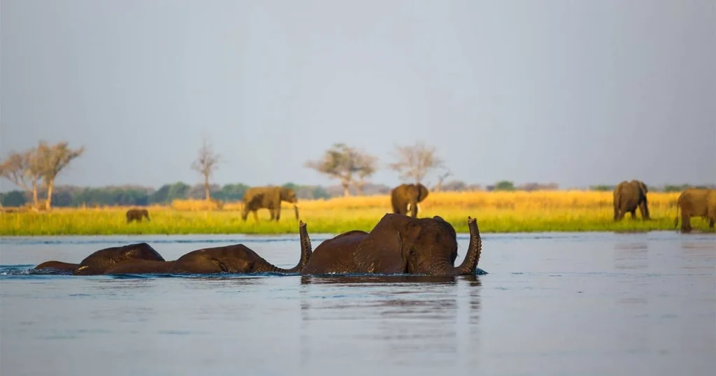 Best of Zambia