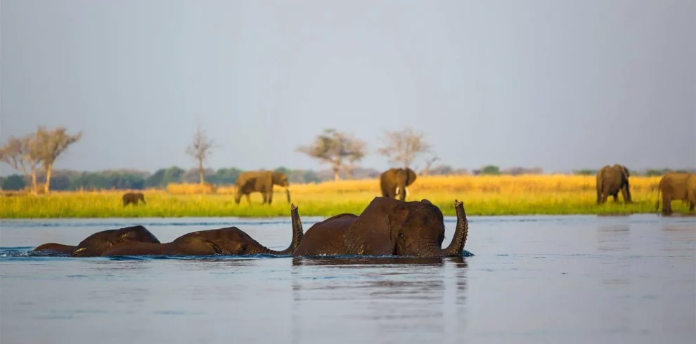 Best of Zambia