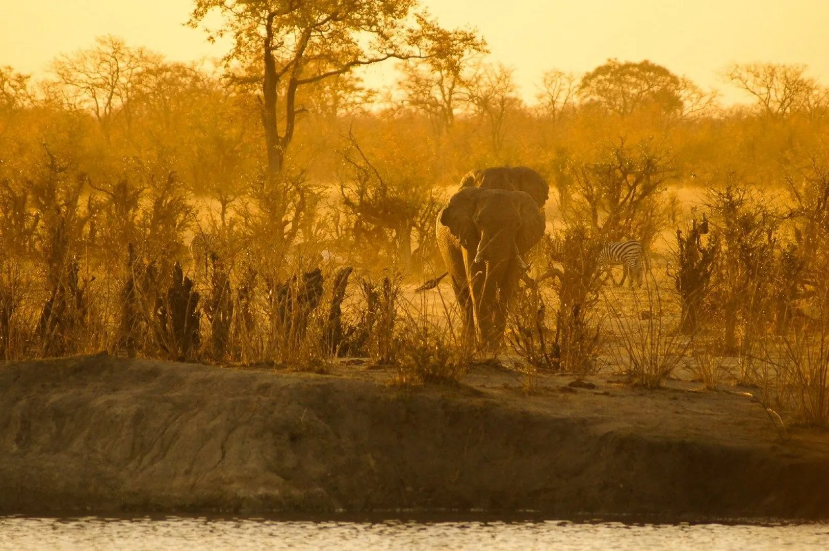 Zimbabwe e Botswana Game Trail