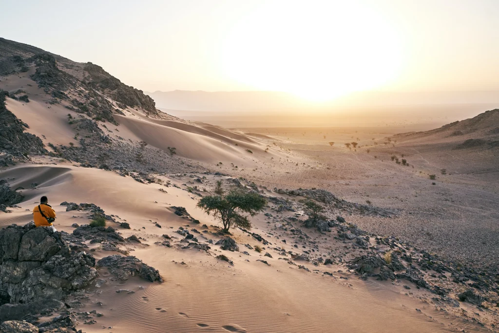Marocco - Marrakech, montagne, oasi e deserto