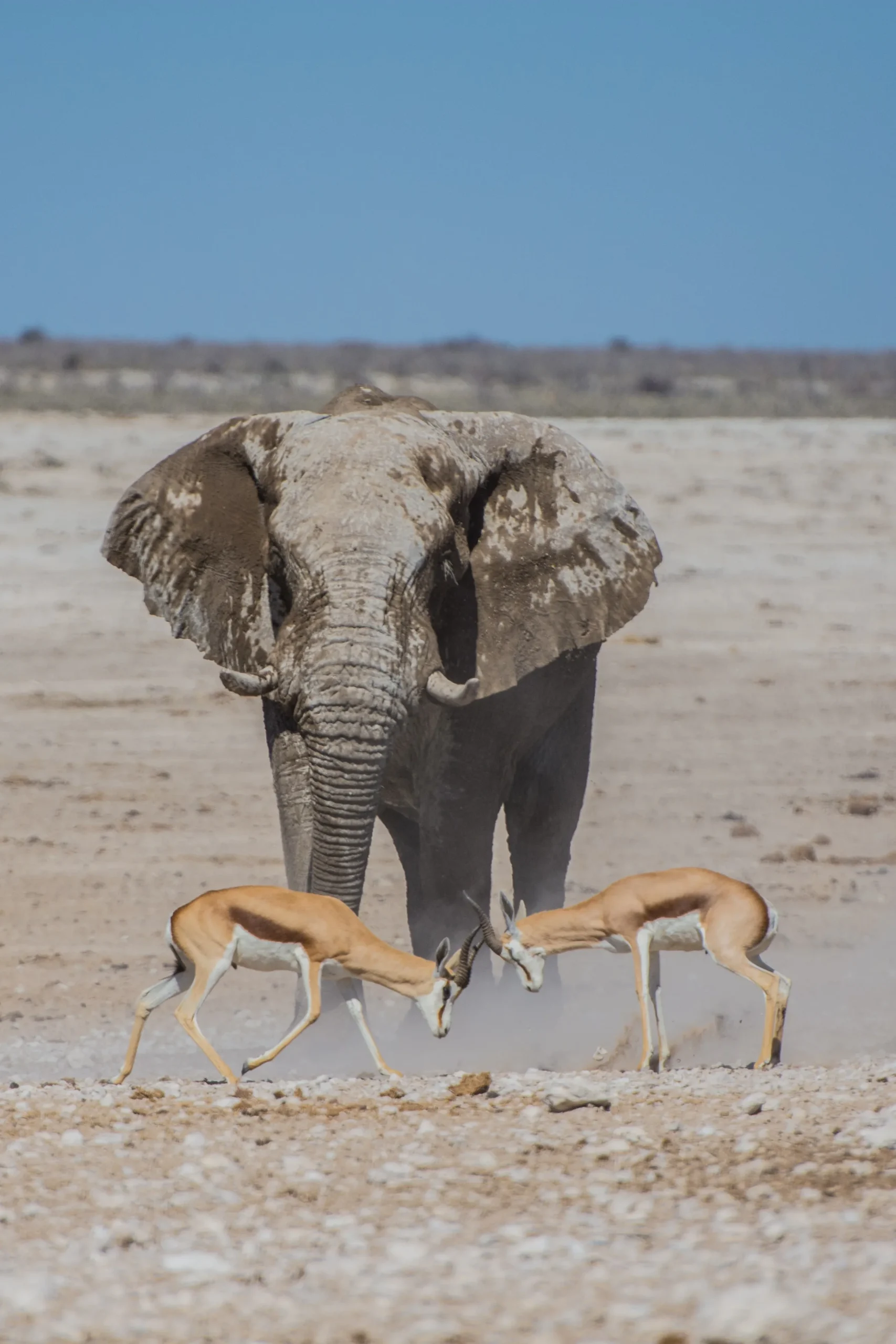 Namibia Adventure
