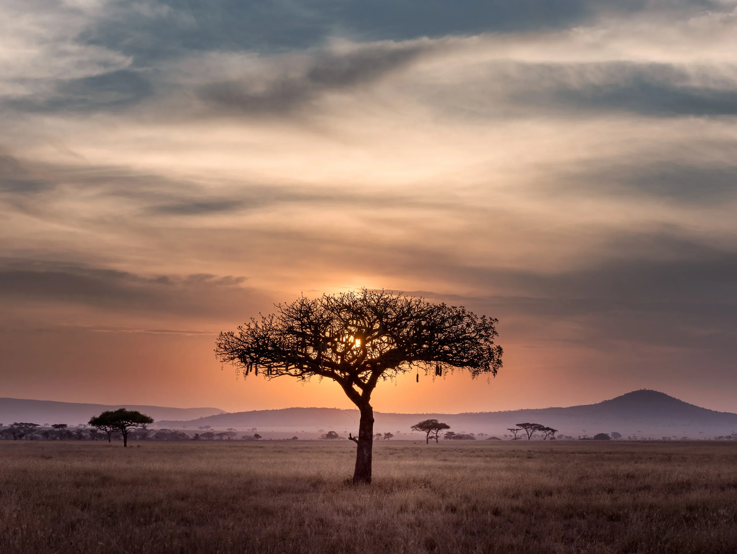 Tanzania - Le grandi pianure e Ngorongoro