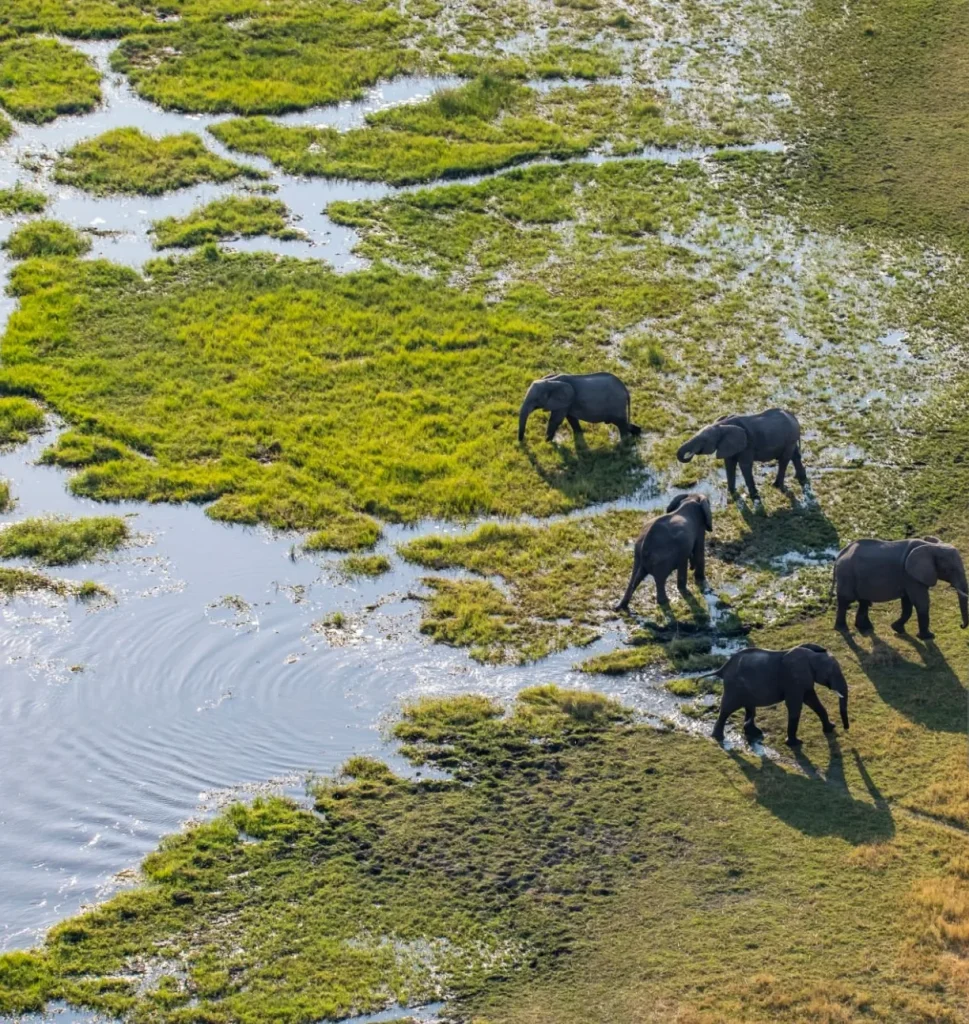 Botswana e Seychelles - Safari Focus e mare