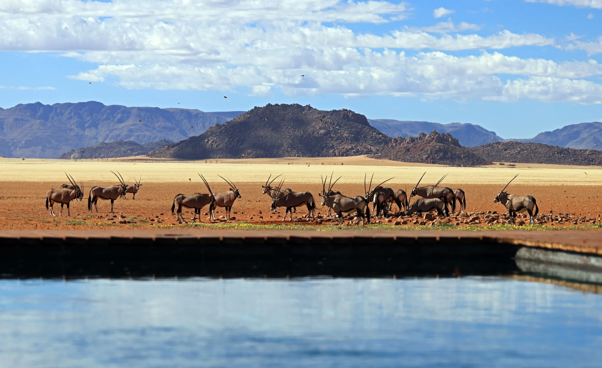 Namibia - Kwessi Dunes