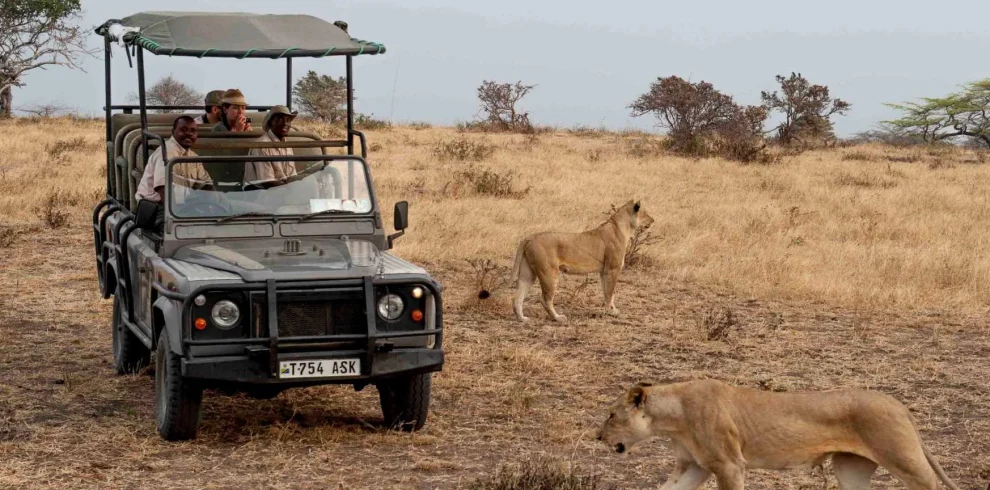 Tanzania - I parchi del sud