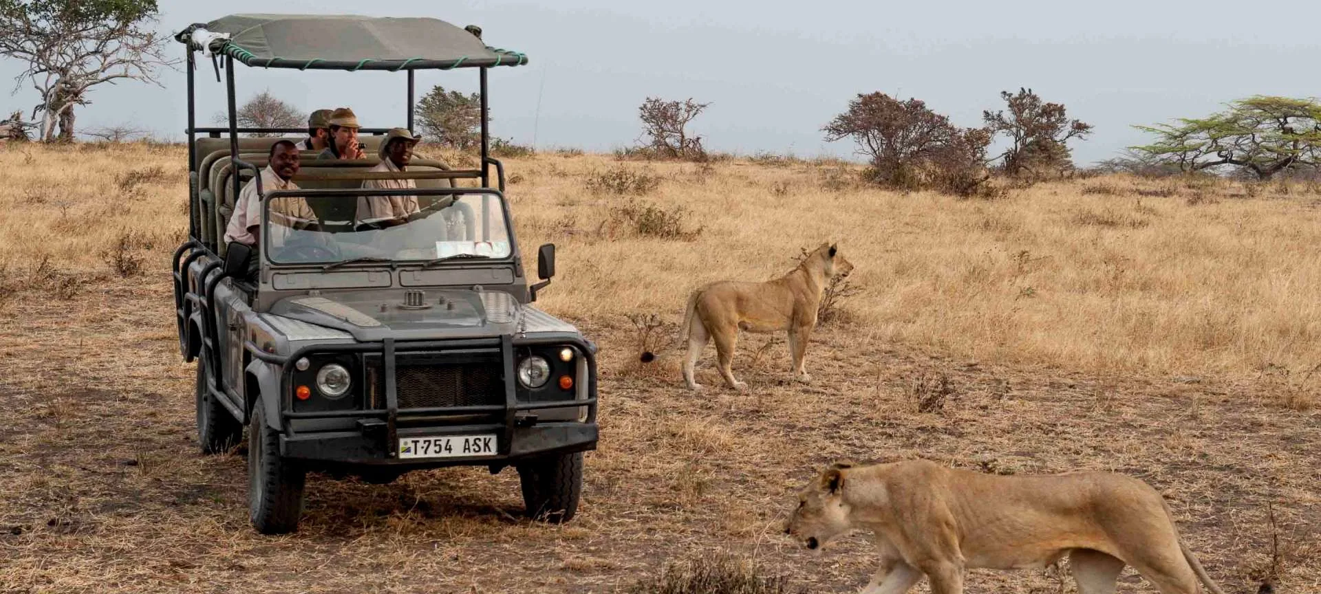 Tanzania - I parchi del sud