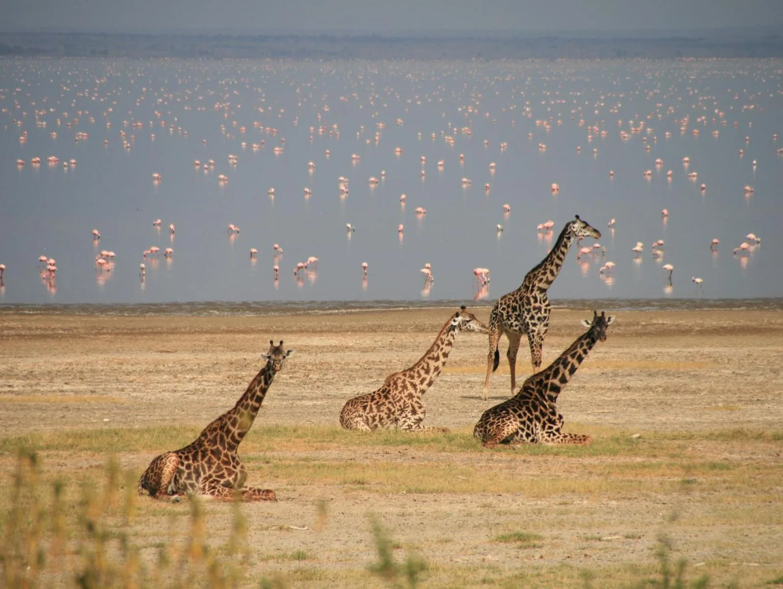 Tanzania - Trekking tra crateri