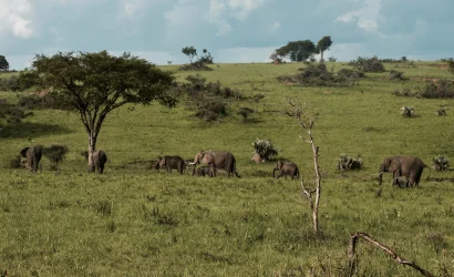 Best Uganda