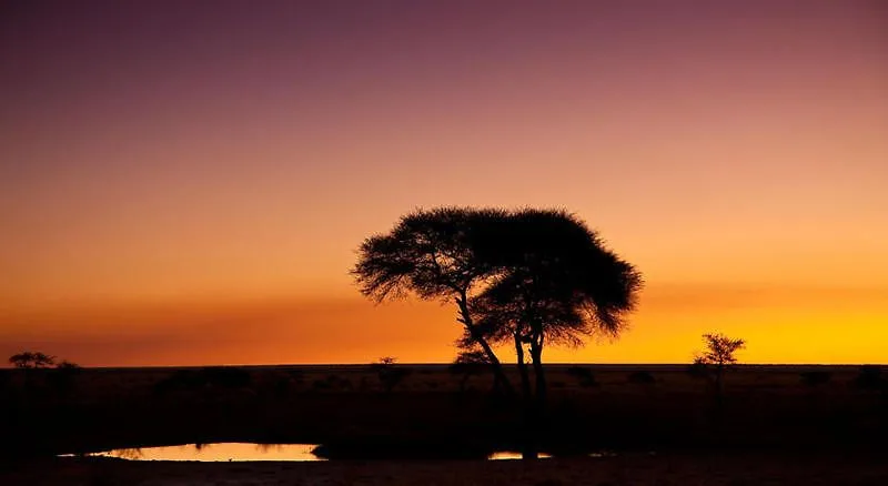 Botswana - Namibia Delta and Wildlife