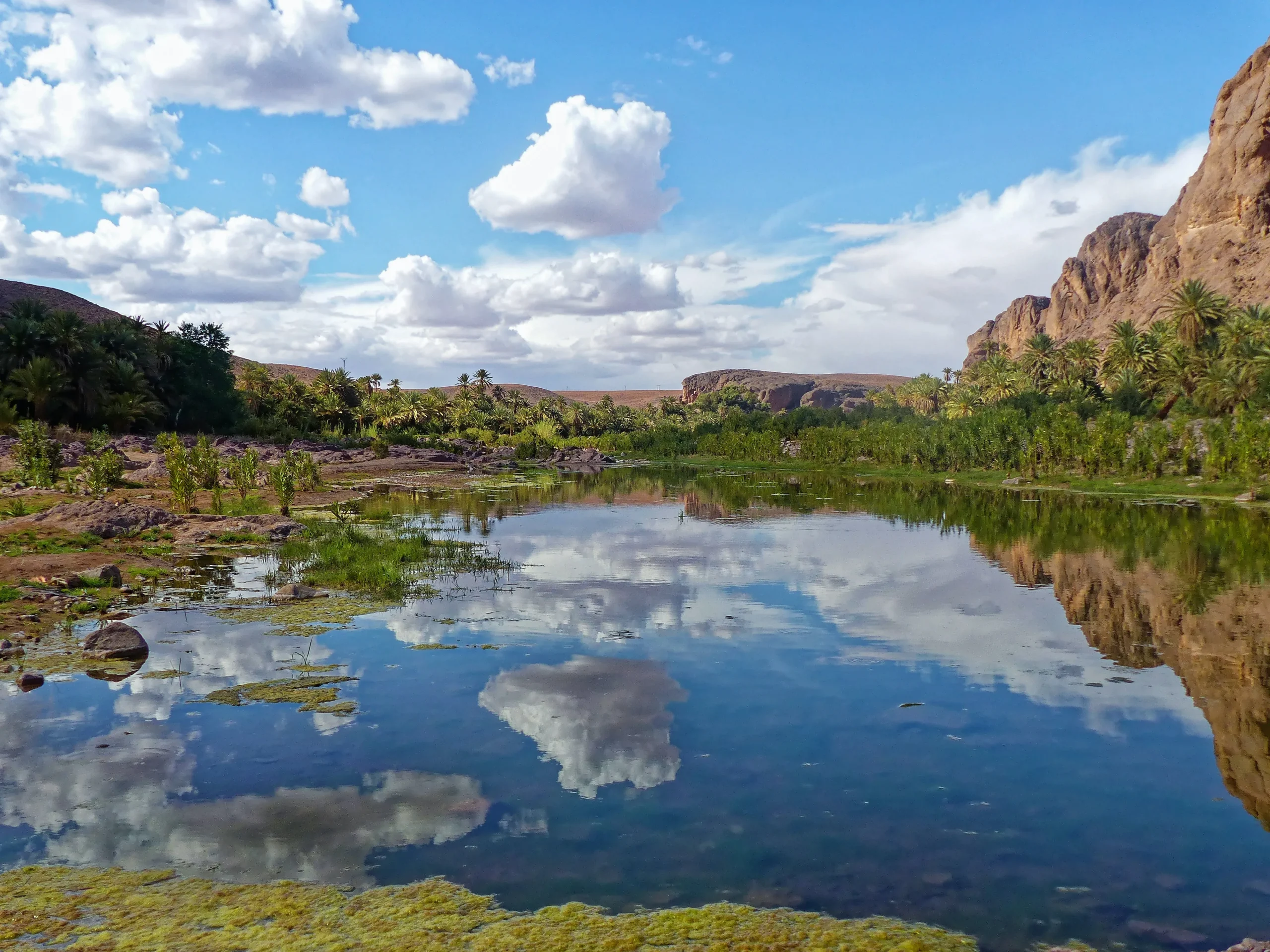 Marocco - Marrakech, montagne, oasi e deserto