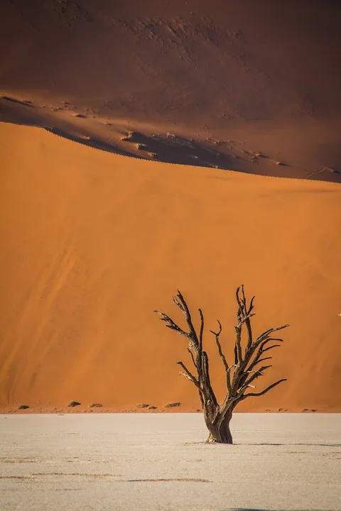 Namib to Falls