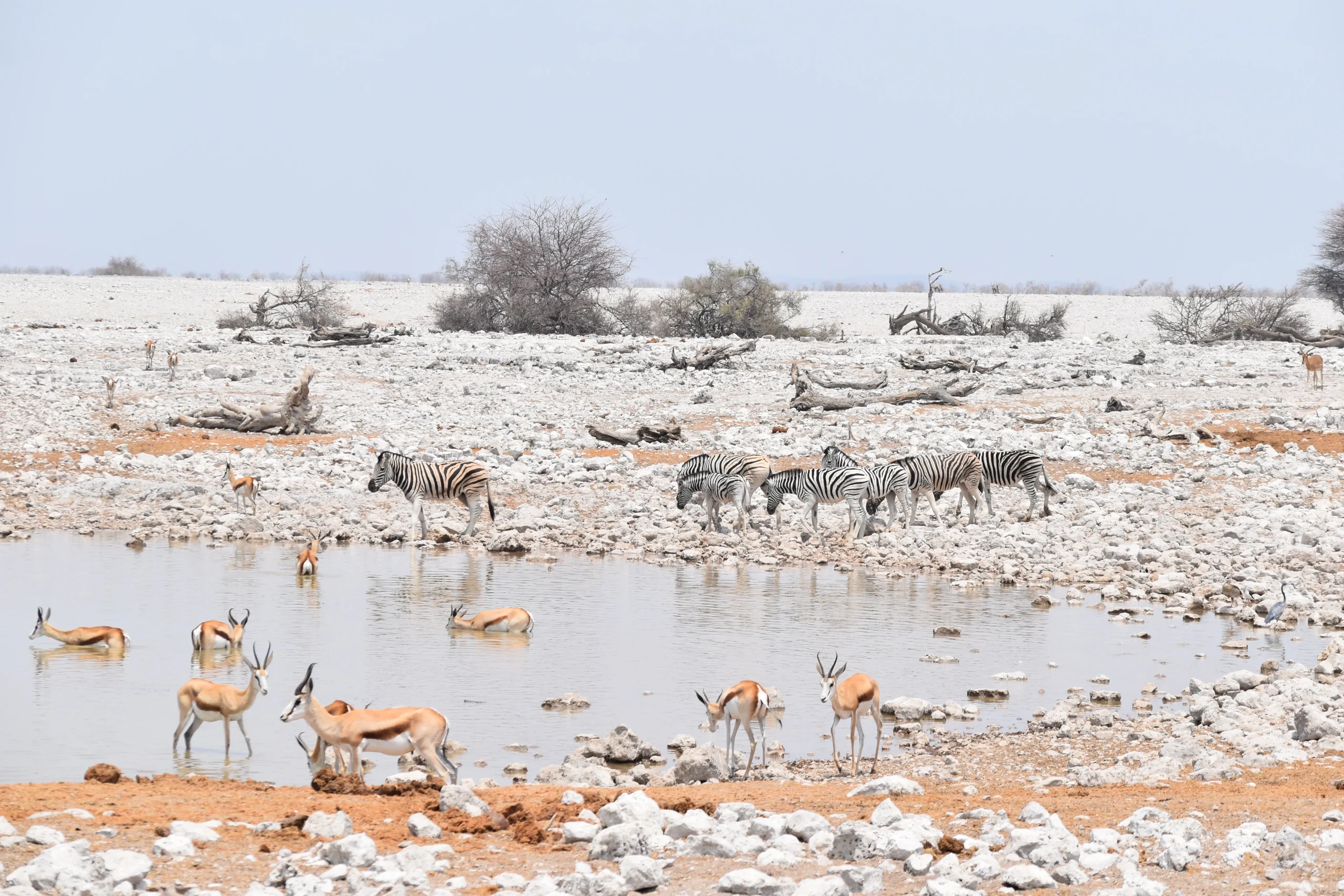 Namibia Adventure