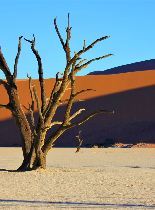 Meravigliosa Namibia