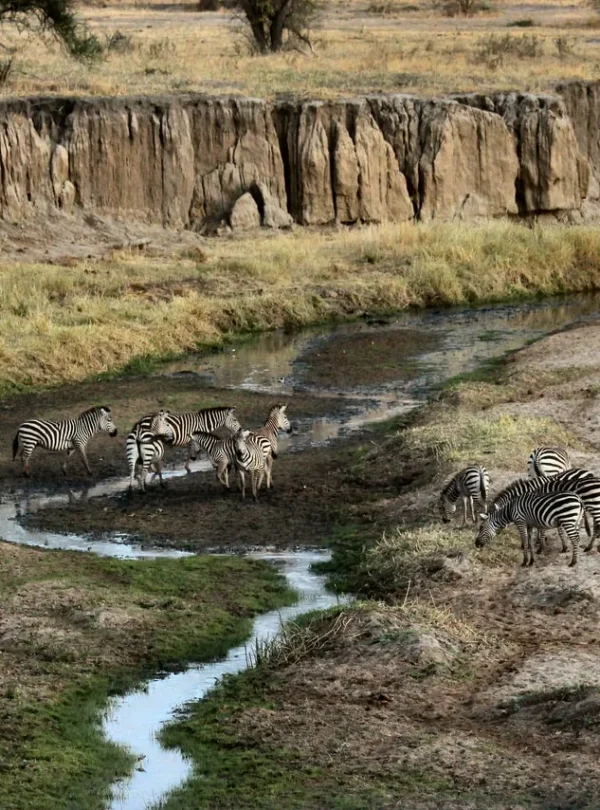 Tanzania Exploration