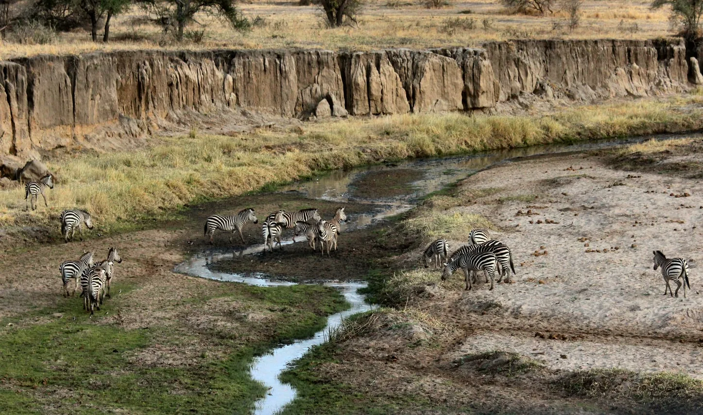 Tanzania Exploration