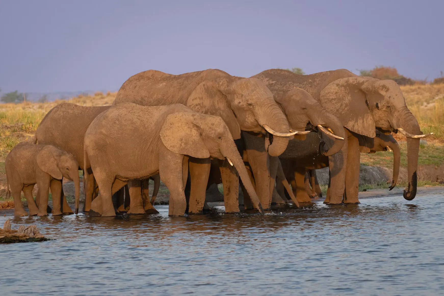 Botswana Wild Parks