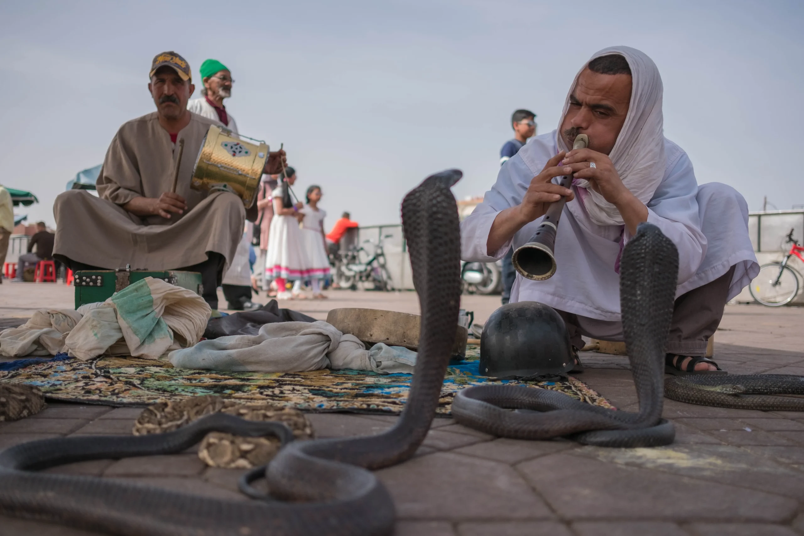 Marocco - Classic Desert Experience