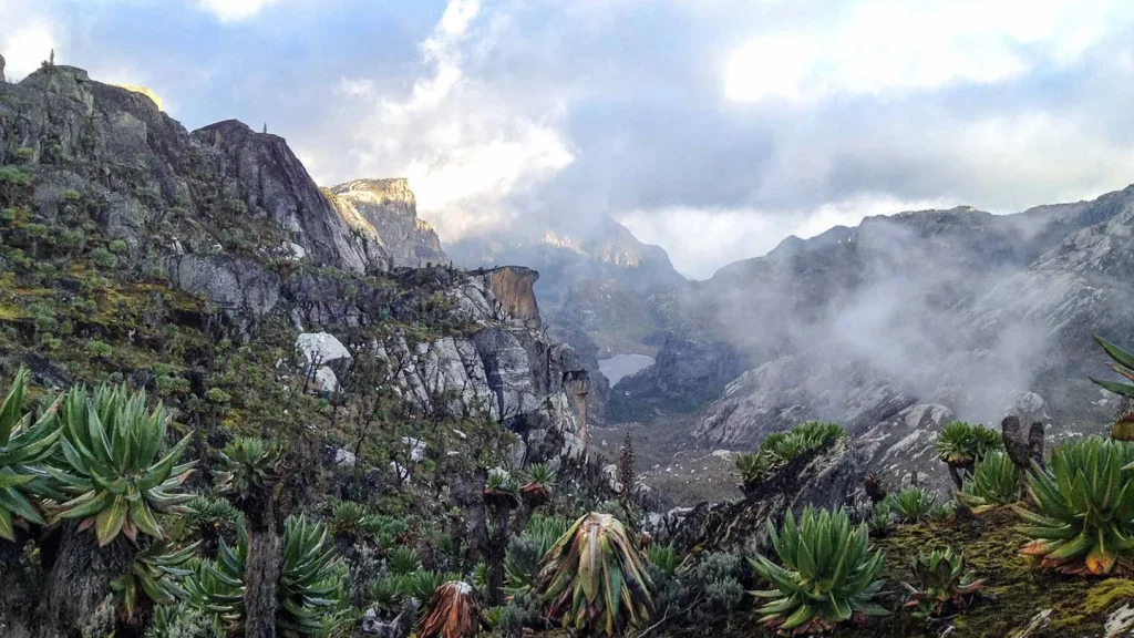 Trekking sui Monti Rwenzori