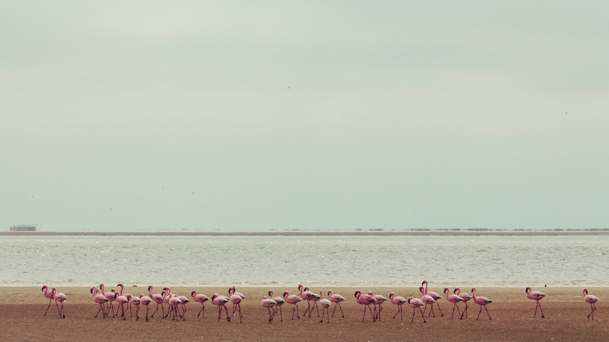 Meravigliosa Namibia