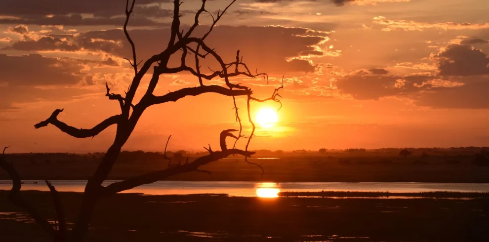 Il respiro dell'Africa - Cascate, Safari e Pura Natura