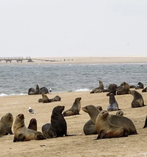 Desert Rivers & Wildlife Adventure